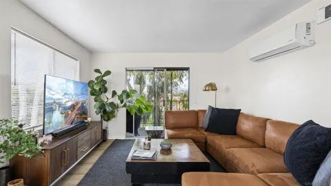 a living room with furniture potted plant a flat screen tv