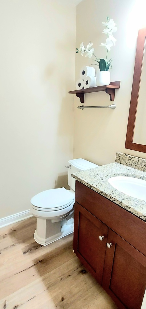 100 Hamlet Circle Montgomery, IL 60538 - Photo 20 of 42 a bathroom with a granite countertop toilet sink and mirror