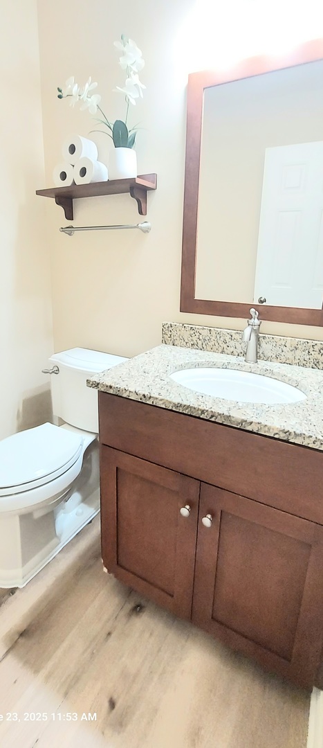 100 Hamlet Circle Montgomery, IL 60538 - Photo 22 of 42 a bathroom with a granite countertop sink and a toilet