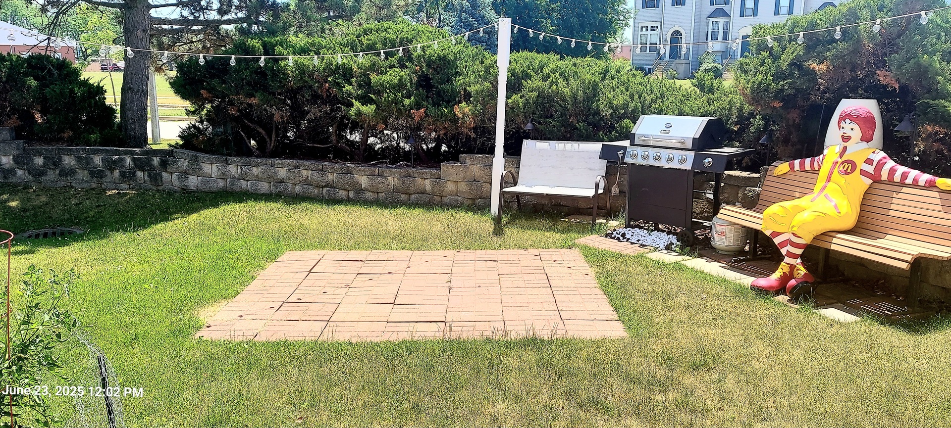 100 Hamlet Circle Montgomery, IL 60538 - Photo 42 of 42 a view of a backyard with couches plants and large tree