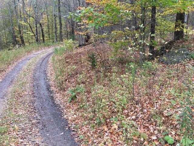 38 Laber Road Bridgewater, VT 05035 - Photo 1 of 12