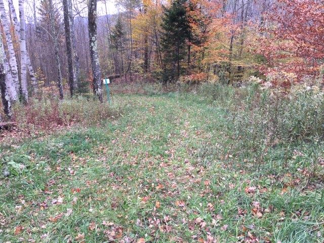 38 Laber Road Bridgewater, VT 05035 - Photo 3 of 12