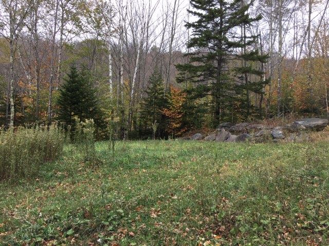 38 Laber Road Bridgewater, VT 05035 - Photo 4 of 12