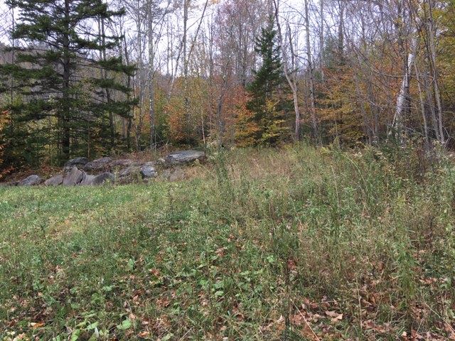 38 Laber Road Bridgewater, VT 05035 - Photo 5 of 12