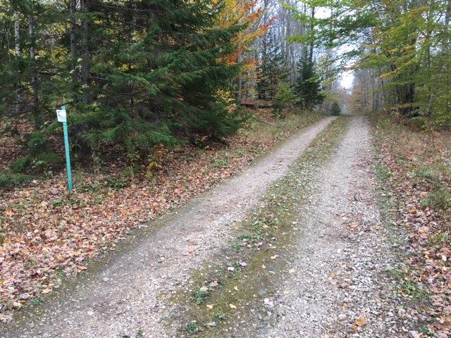 38 Laber Road Bridgewater, VT 05035 - Photo 10 of 12