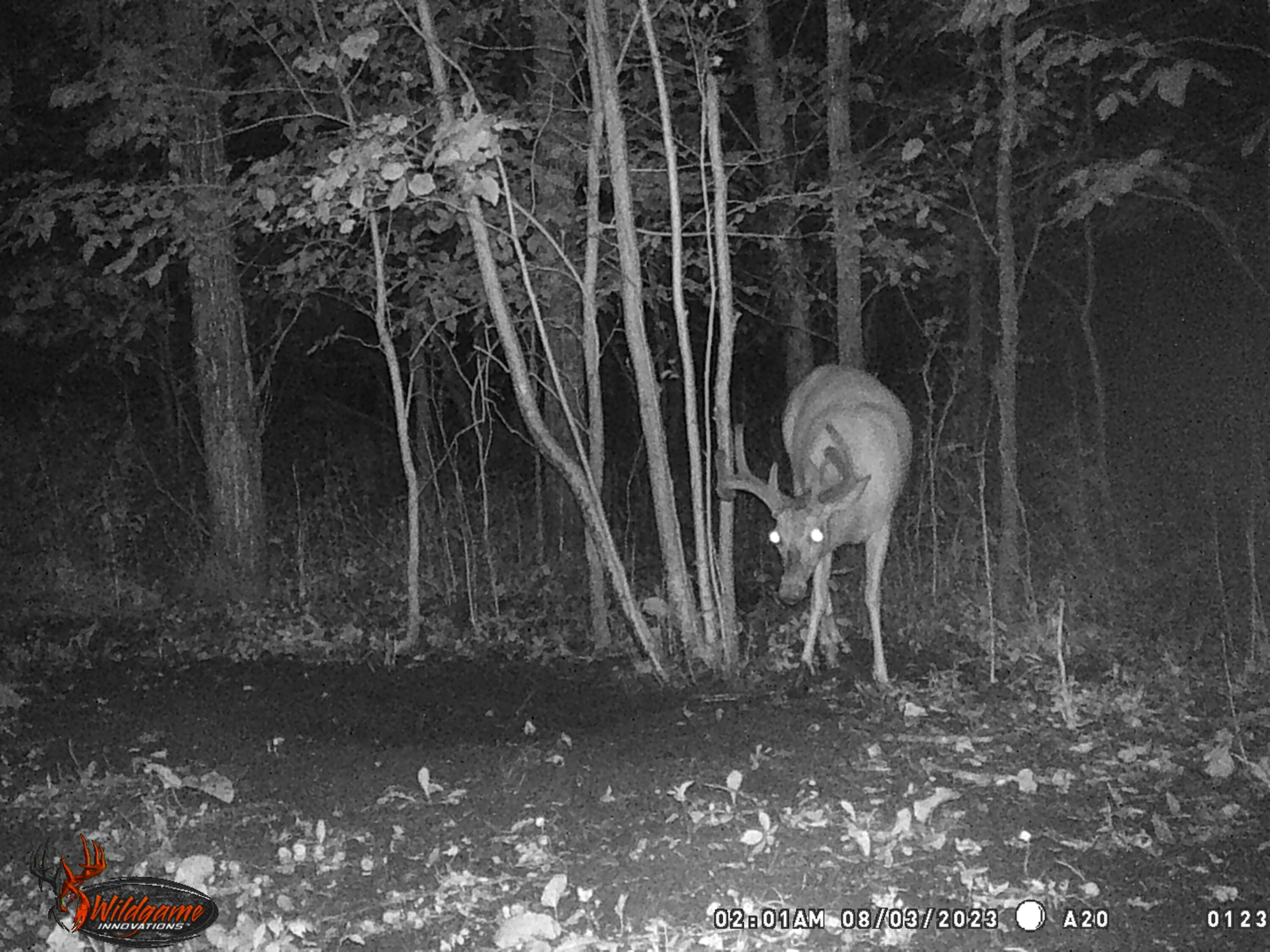 -vl Binder Road Turner, MI 48765 - Photo 16 of 41 WGI_0123