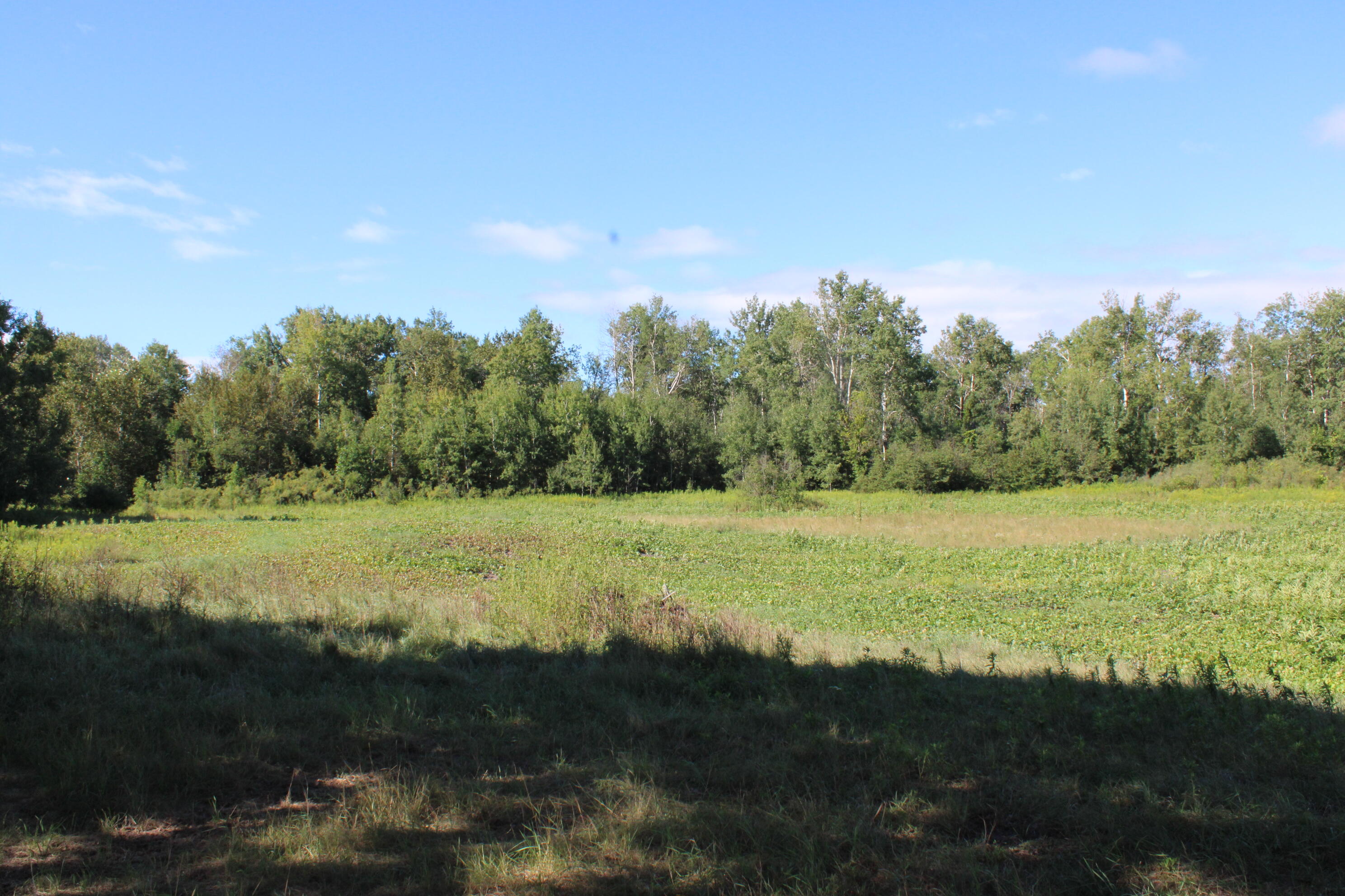 -vl Binder Road Turner, MI 48765 - Photo 23 of 41 IMG_2681