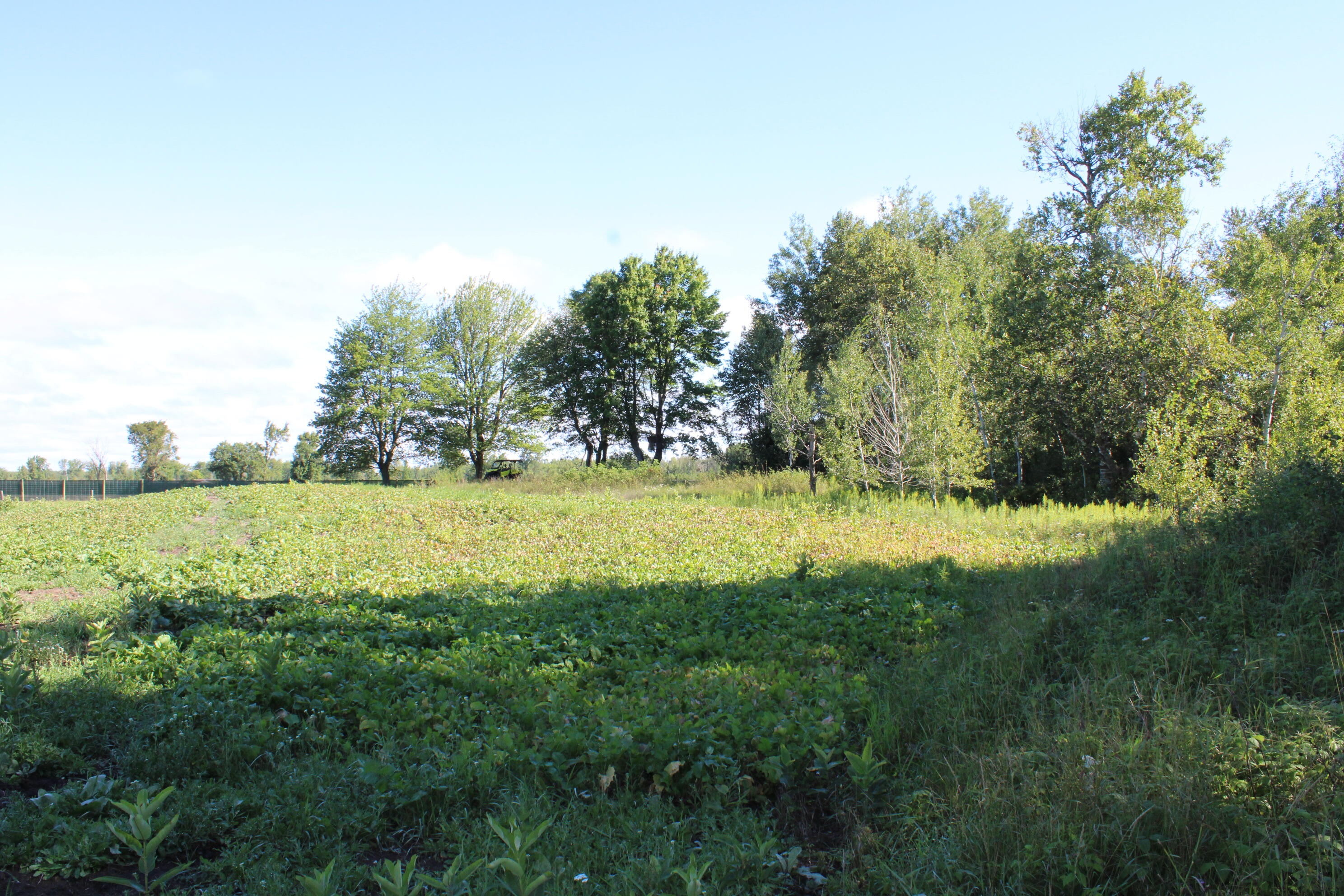 -vl Binder Road Turner, MI 48765 - Photo 26 of 41 IMG_2685