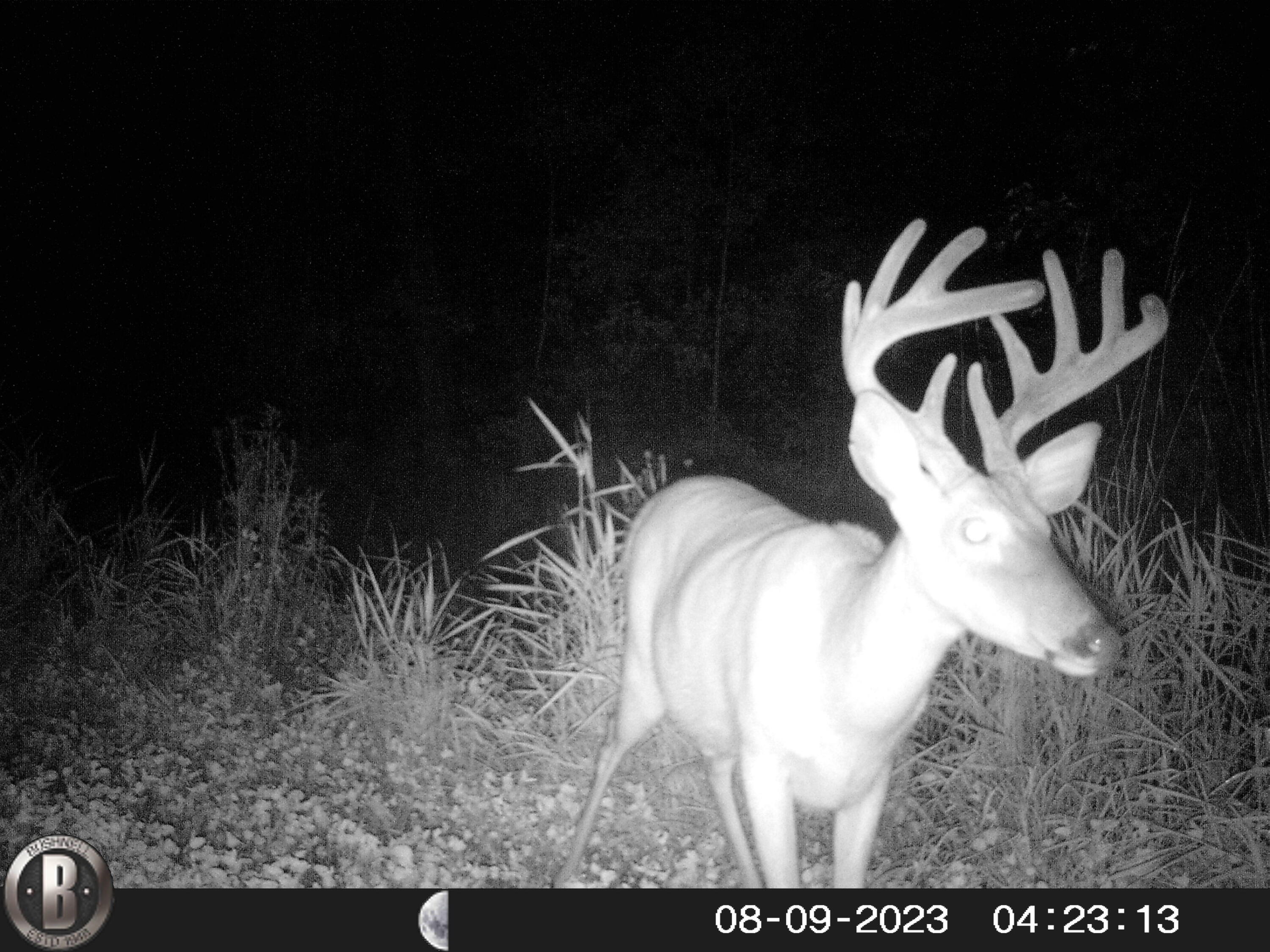 -vl Binder Road Turner, MI 48765 - Photo 36 of 41 HUNT0009