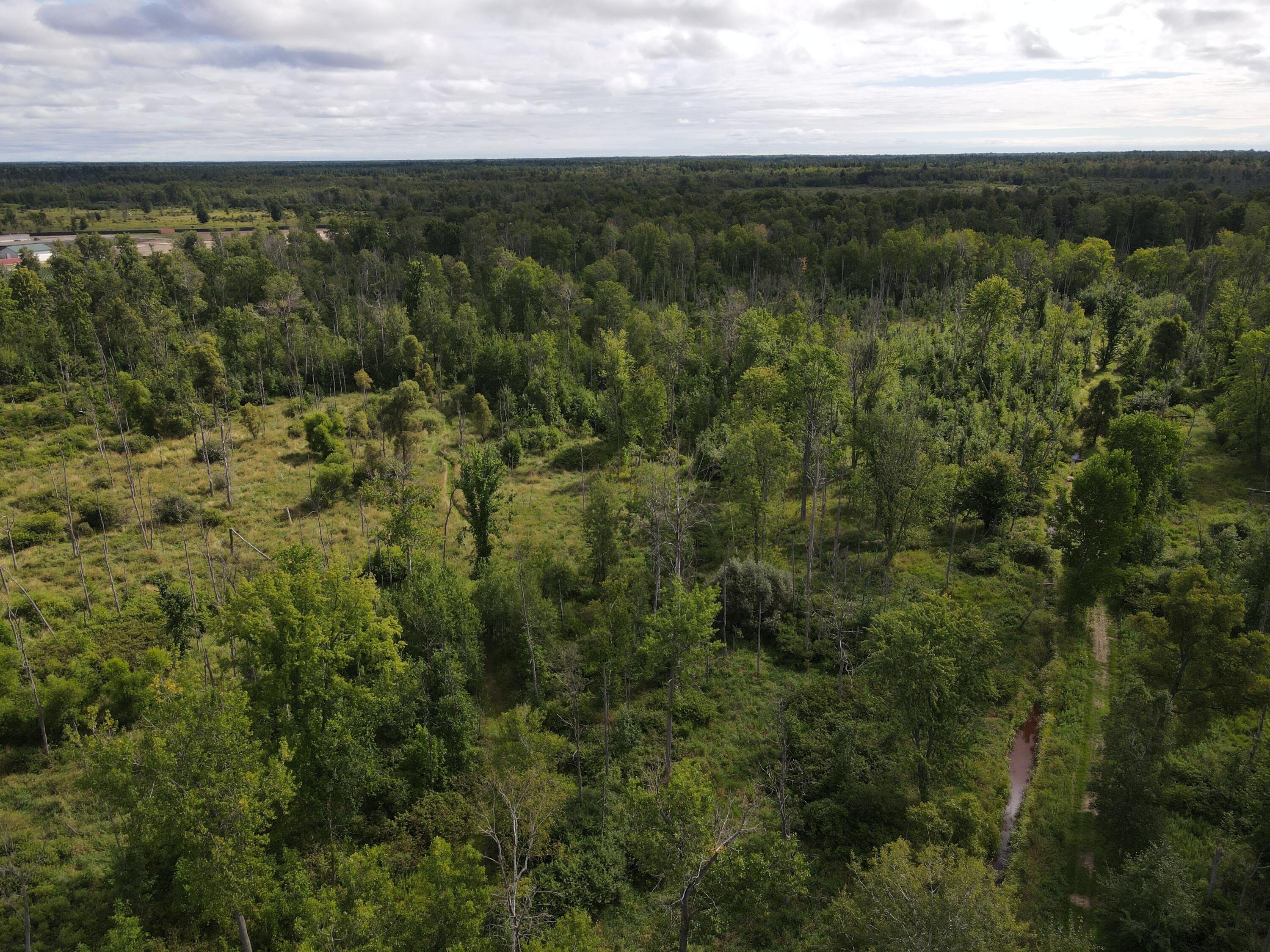 -vl Binder Road Turner, MI 48765 - Photo 4 of 41 DJI_0820