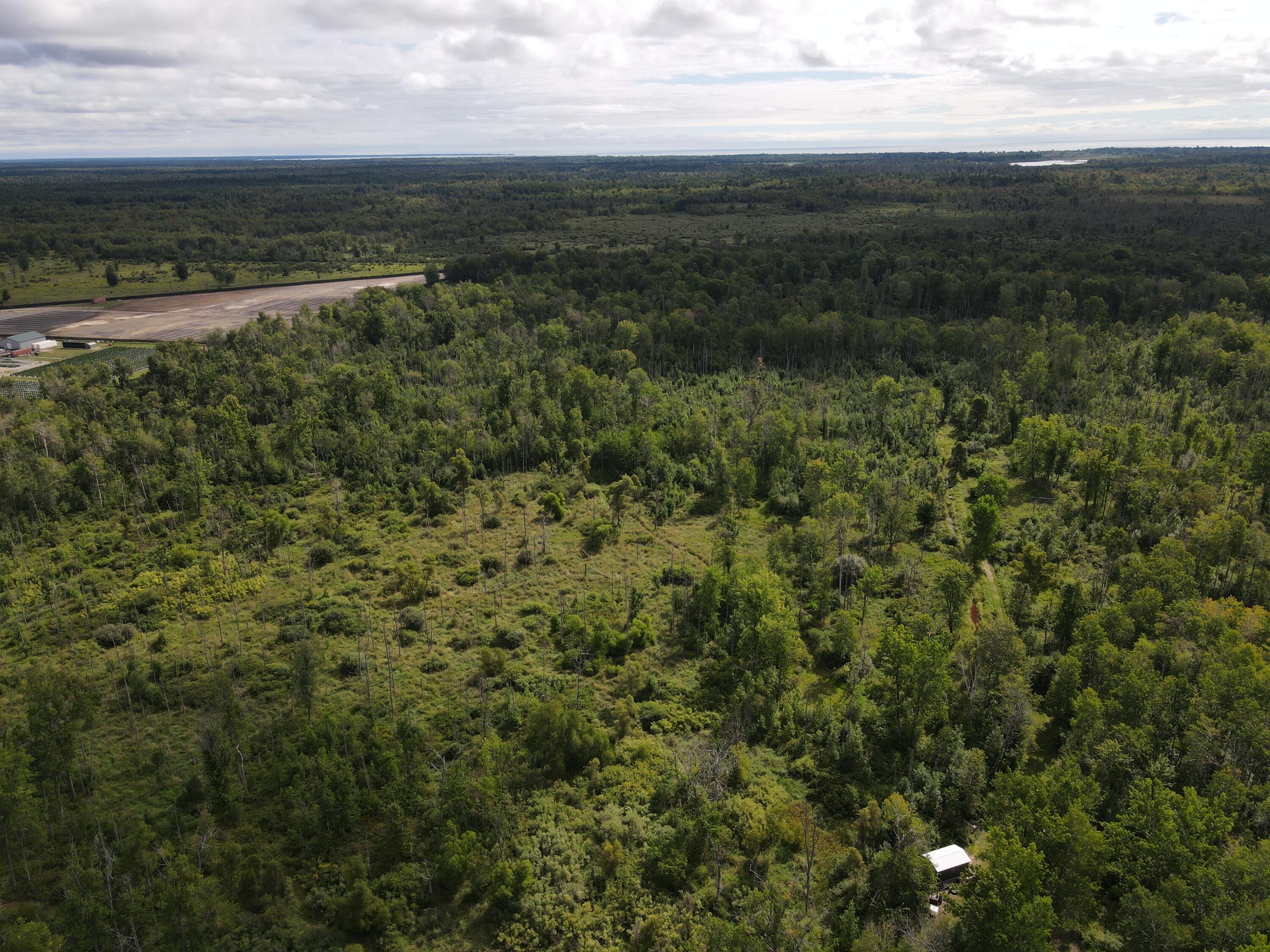 -vl Binder Road Turner, MI 48765 - Photo 5 of 41 DJI_0822