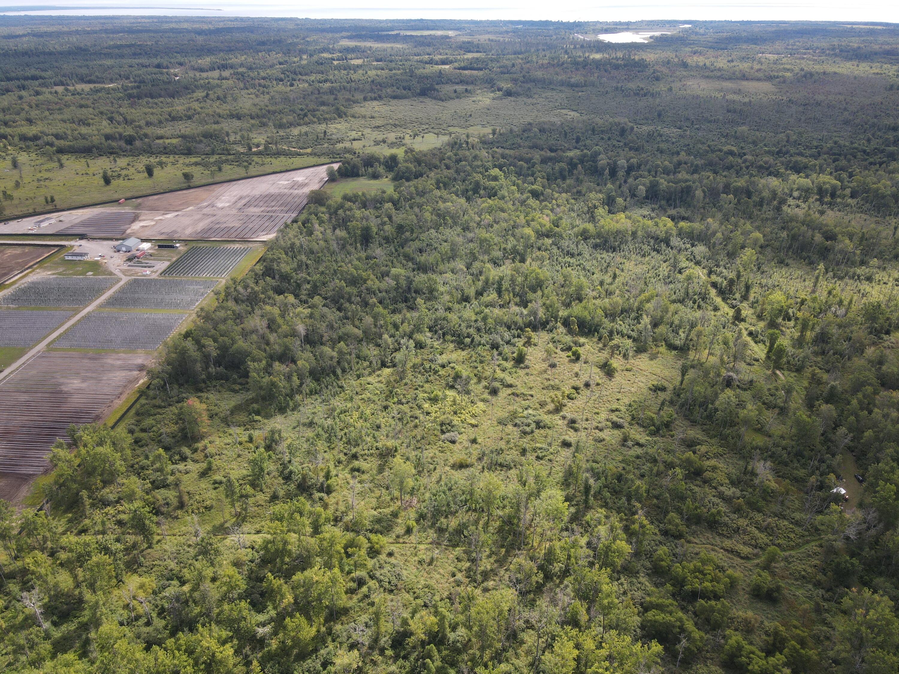 -vl Binder Road Turner, MI 48765 - Photo 6 of 41 DJI_0829