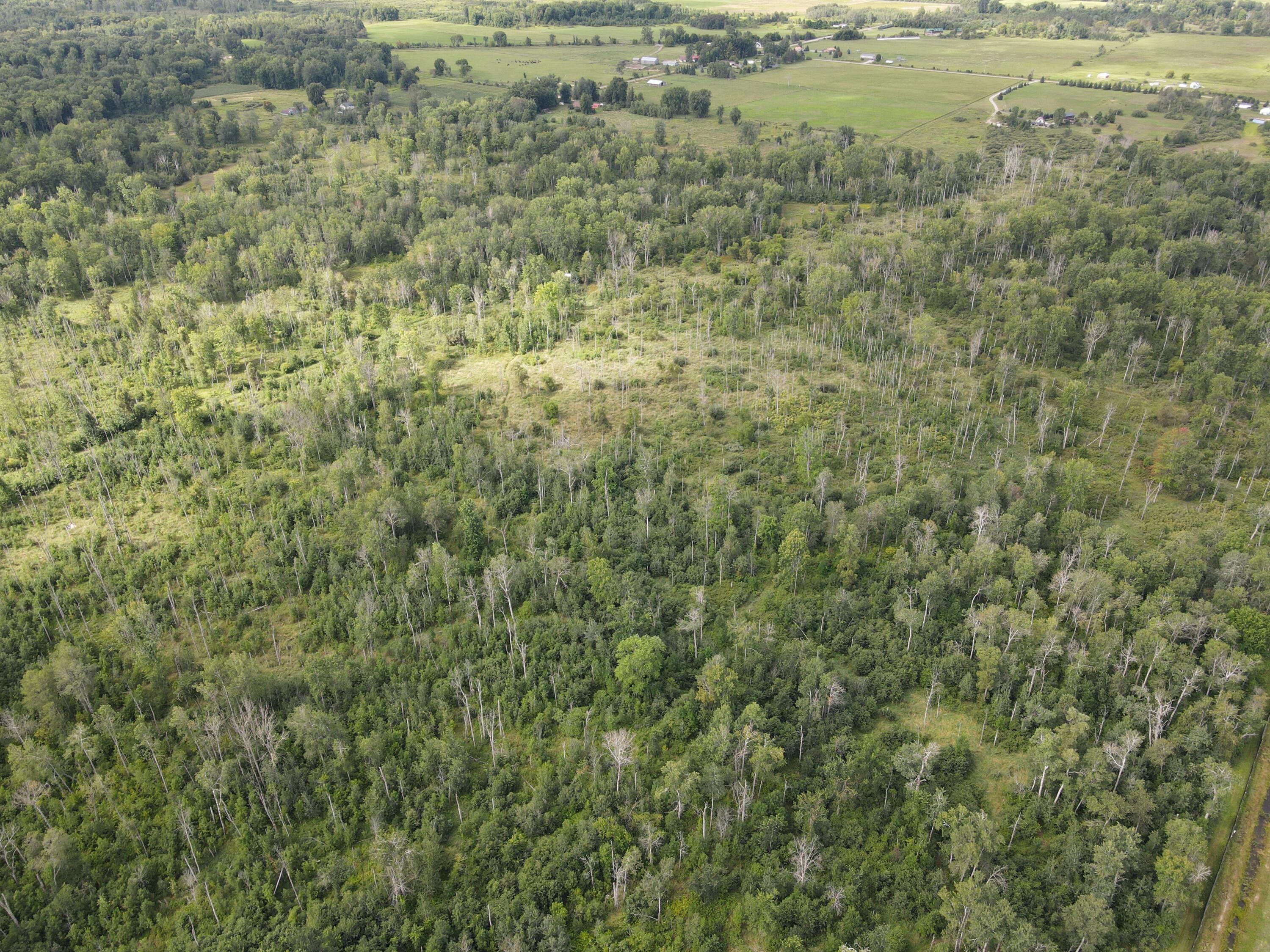 -vl Binder Road Turner, MI 48765 - Photo 8 of 41 DJI_0836