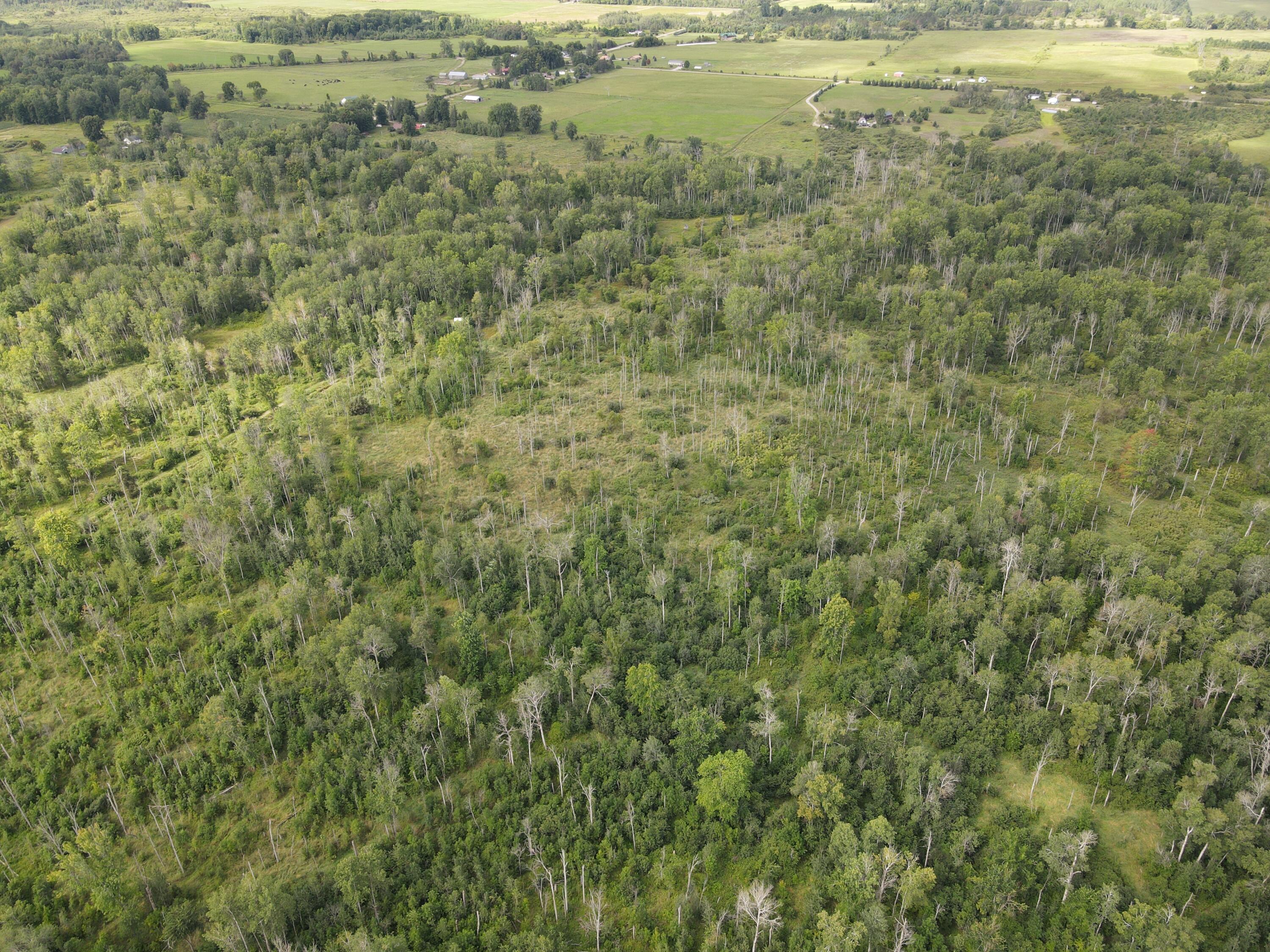 -vl Binder Road Turner, MI 48765 - Photo 9 of 41 DJI_0837