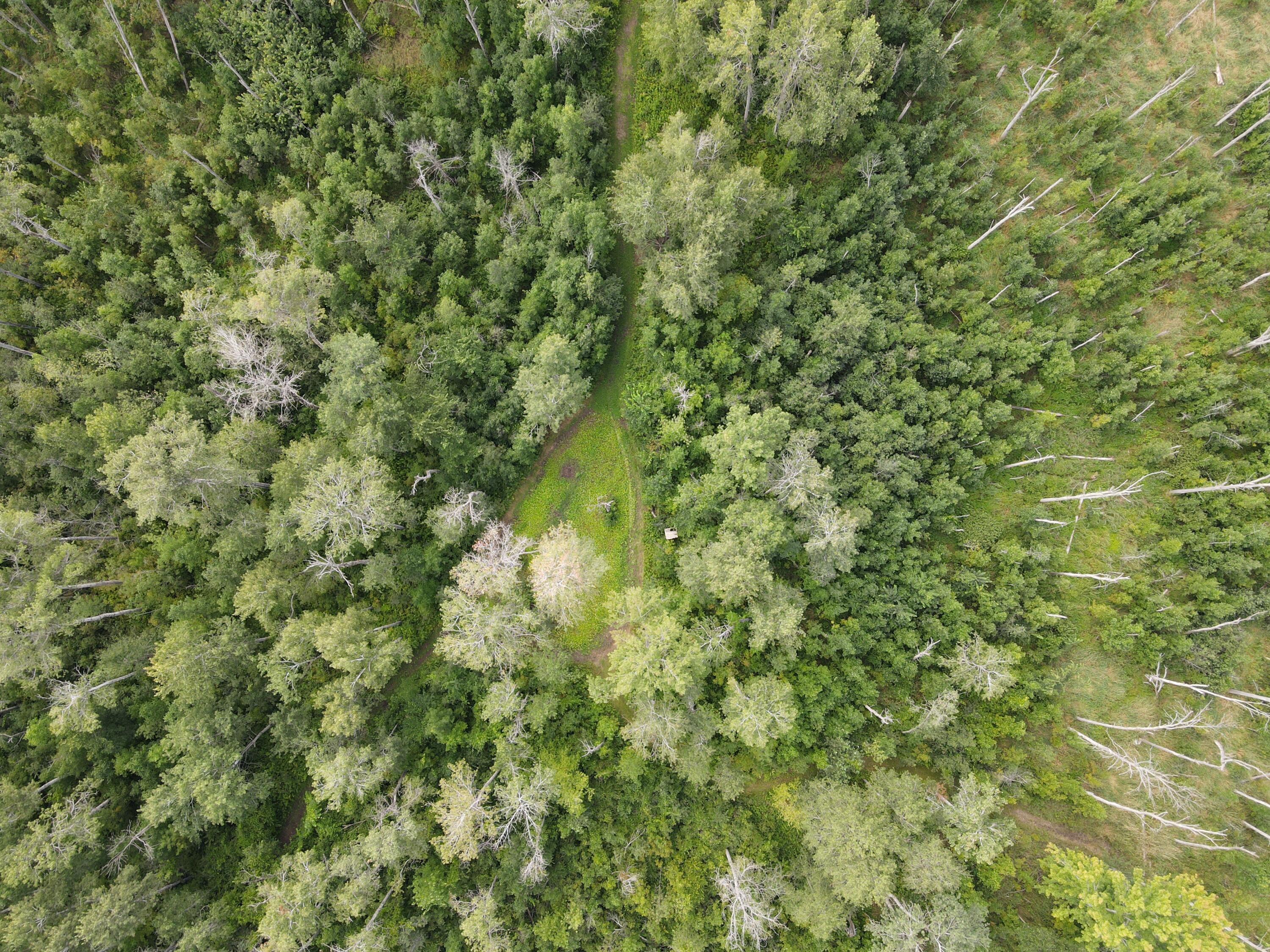 -vl Binder Road Turner, MI 48765 - Photo 10 of 41 DJI_0839