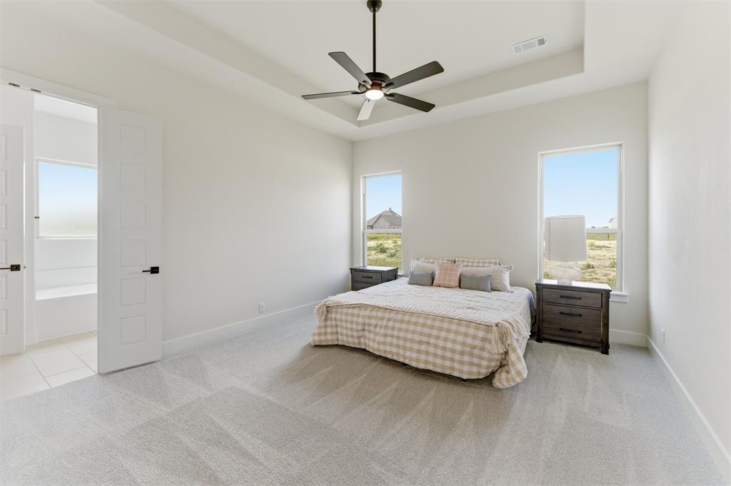 2433 Meteor Drive Krum, TX 76249 - Photo 17 of 29 Spacious room featuring light gray carpet flooring, a tray ceiling with a black ceiling fan, and two large windows