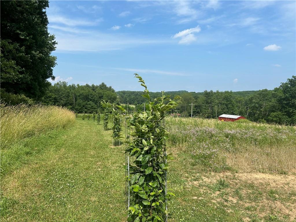 606 Stone Church Road Emlenton, PA 16373 - Photo 11 of 49 Gallery Image 11