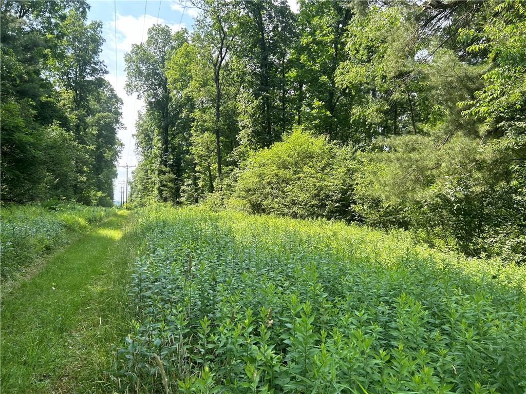 606 Stone Church Road Emlenton, PA 16373 - Photo 12 of 49 Gallery Image 12