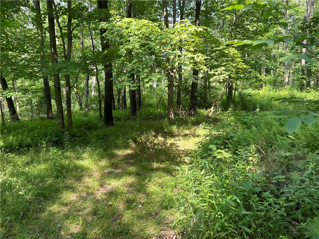 606 Stone Church Road Emlenton, PA 16373 - Photo 20 of 49 Gallery Image 20