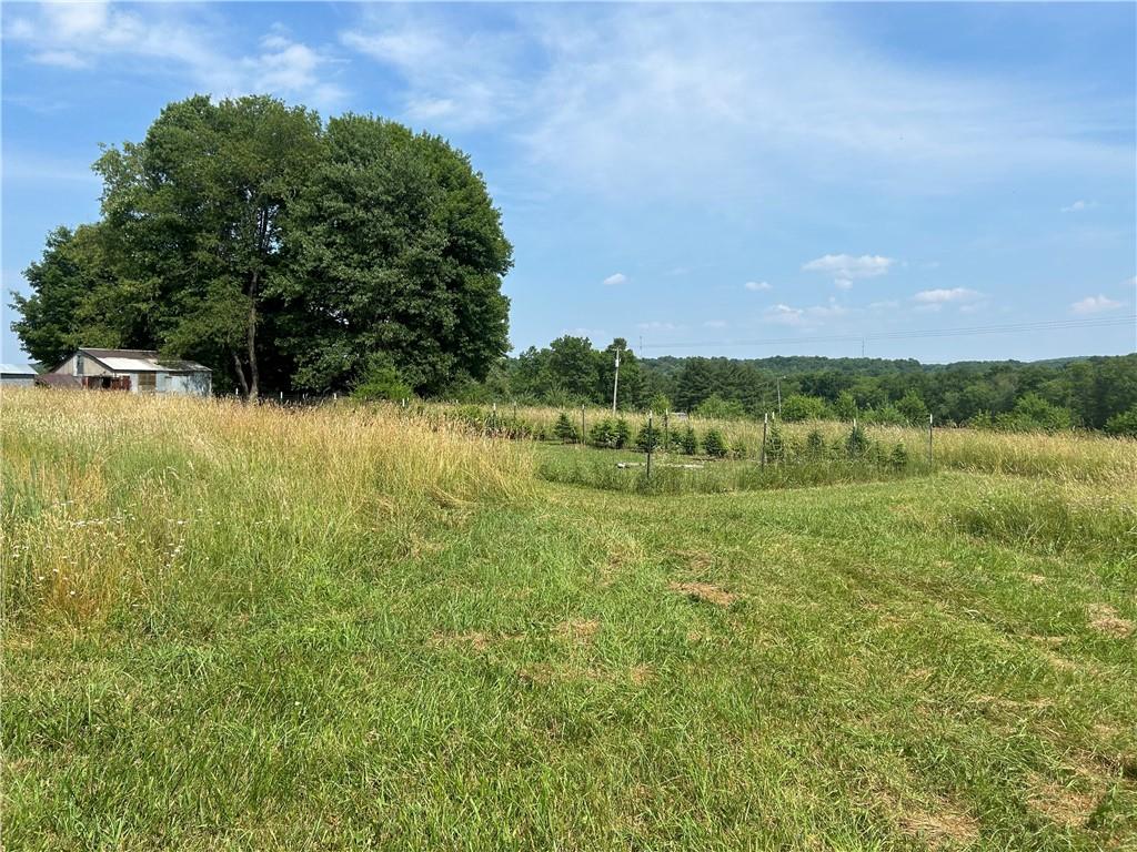 606 Stone Church Road Emlenton, PA 16373 - Photo 2 of 49 Gallery Image 2