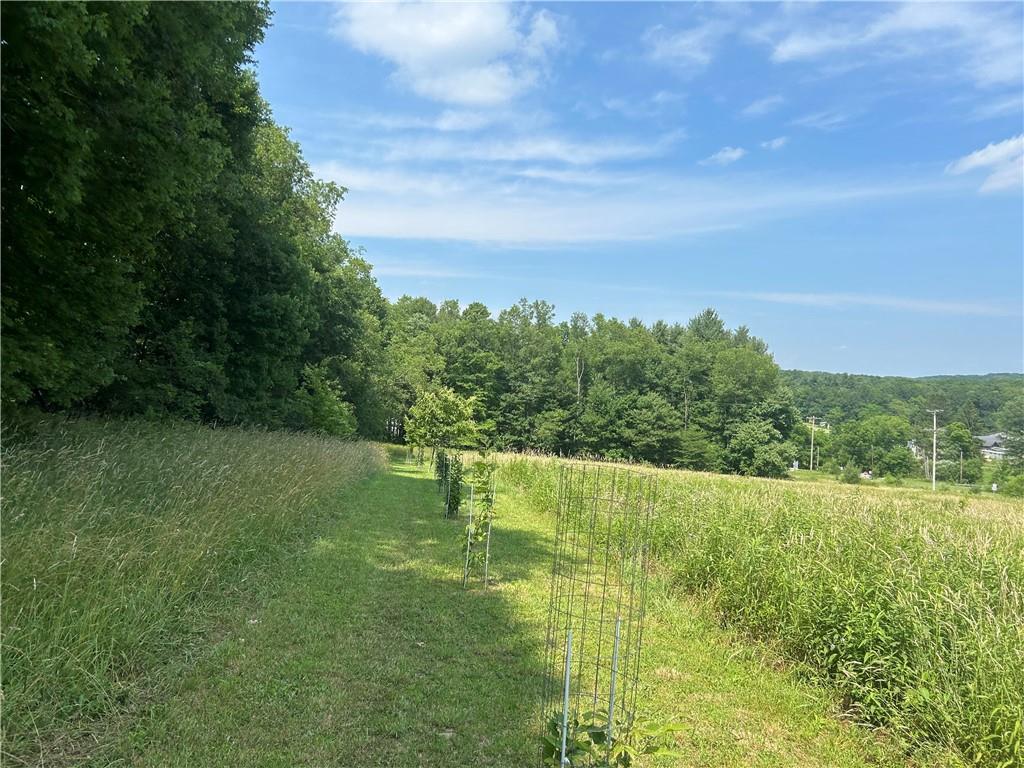 606 Stone Church Road Emlenton, PA 16373 - Photo 34 of 49 Gallery Image 34