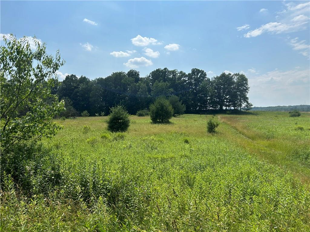 606 Stone Church Road Emlenton, PA 16373 - Photo 39 of 49 Gallery Image 39