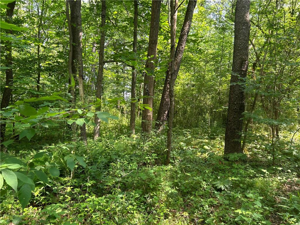606 Stone Church Road Emlenton, PA 16373 - Photo 41 of 49 Gallery Image 41