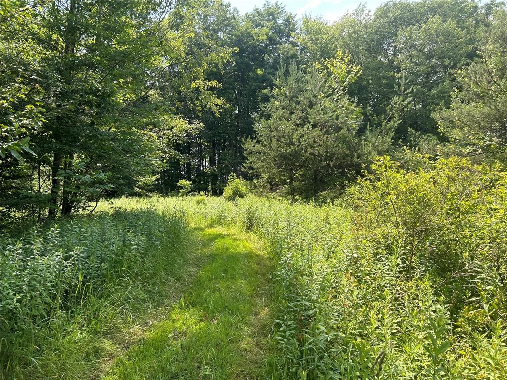 606 Stone Church Road Emlenton, PA 16373 - Photo 42 of 49 Gallery Image 42