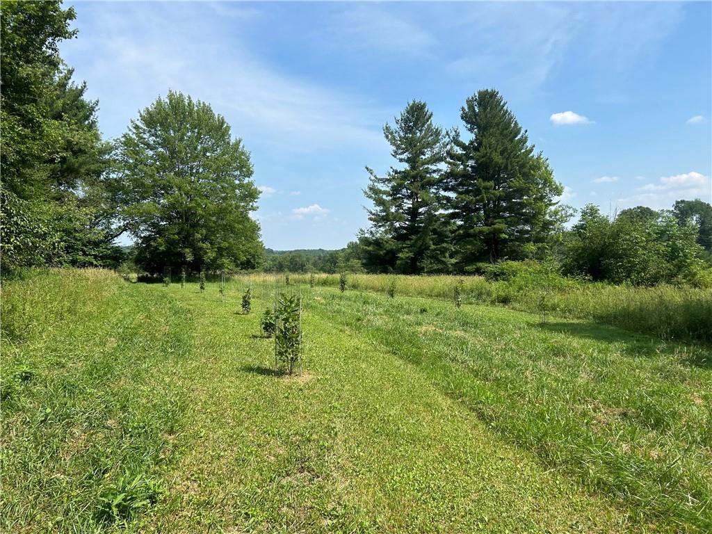 606 Stone Church Road Emlenton, PA 16373 - Photo 43 of 49 Gallery Image 43