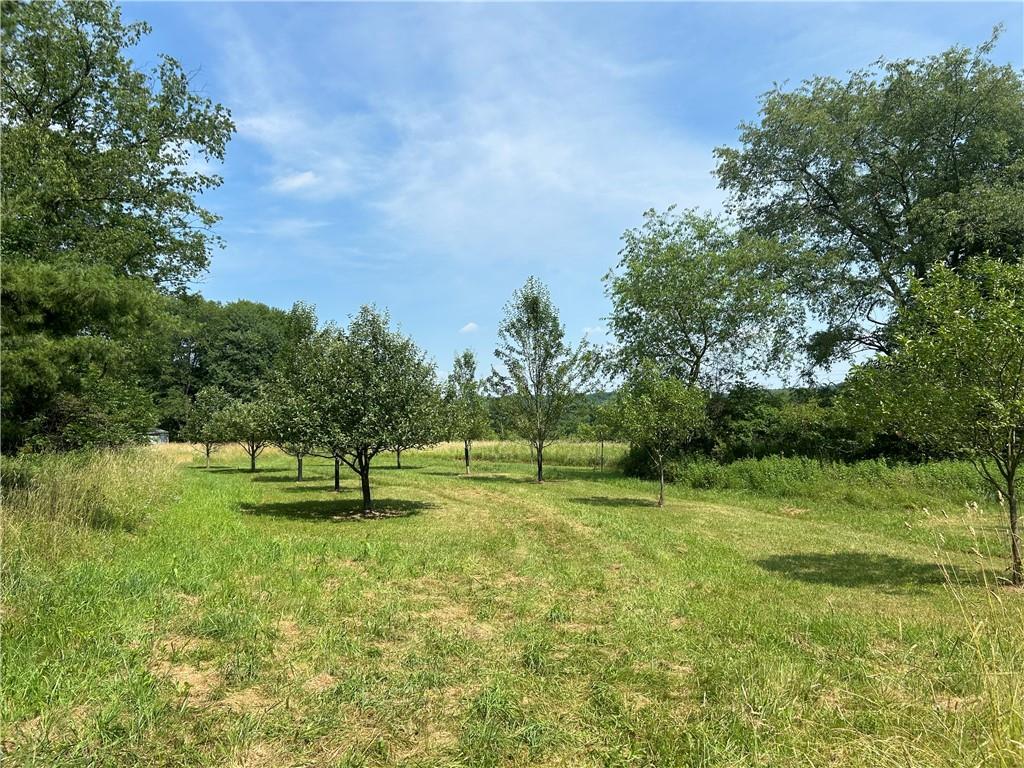 606 Stone Church Road Emlenton, PA 16373 - Photo 45 of 49 Gallery Image 45