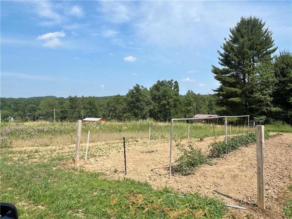 606 Stone Church Road Emlenton, PA 16373 - Photo 9 of 49 Gallery Image 9