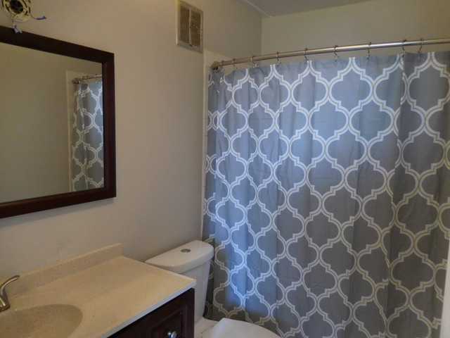 225 South Rohlwing Road, Unit 518 Palatine, IL 60074 - Photo 12 of 14