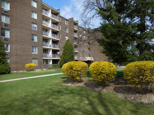 225 South Rohlwing Road, Unit 518 Palatine, IL 60074 - Photo 2 of 14