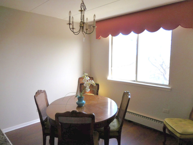 225 South Rohlwing Road, Unit 518 Palatine, IL 60074 - Photo 4 of 14