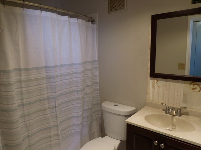225 South Rohlwing Road, Unit 518 Palatine, IL 60074 - Photo 9 of 14