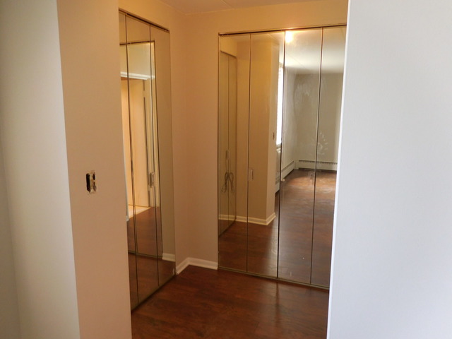 225 South Rohlwing Road, Unit 518 Palatine, IL 60074 - Photo 10 of 14