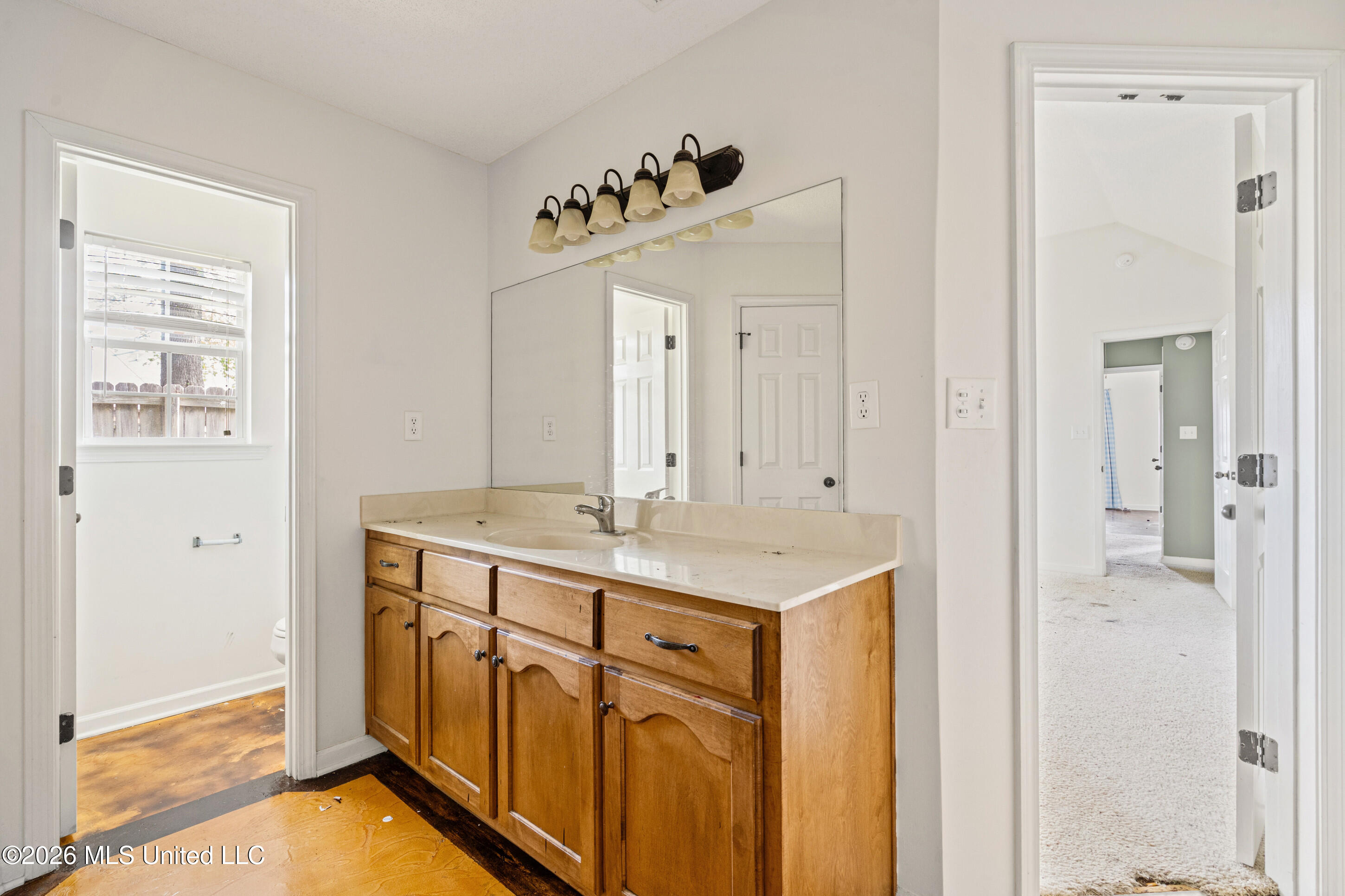 250 Vaiden Ridge Cove Hernando, MS 38632 - Photo 13 of 26 13__dsc2337_print