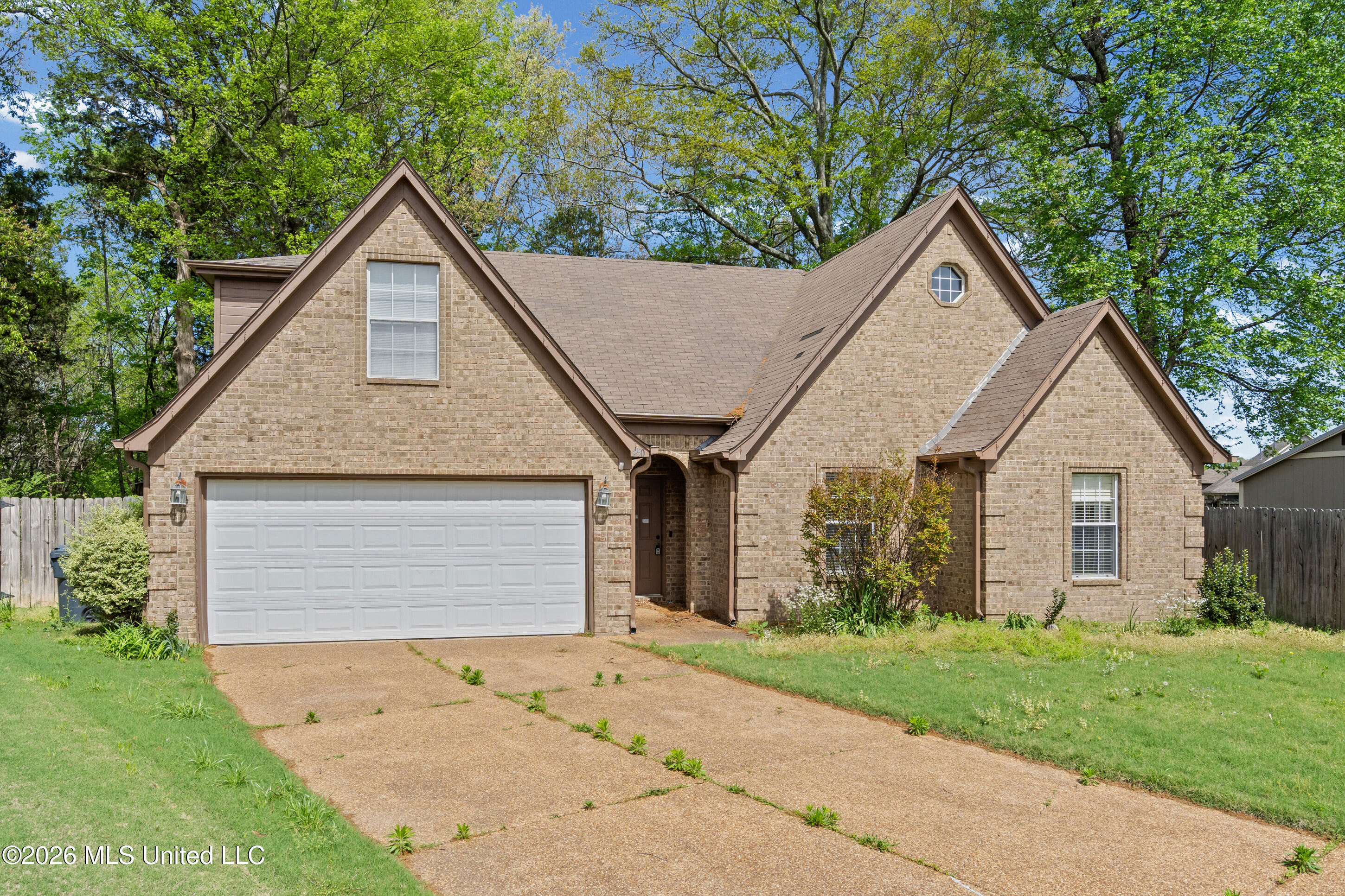 250 Vaiden Ridge Cove Hernando, MS 38632 - Photo 3 of 26 3__dsc2307_print