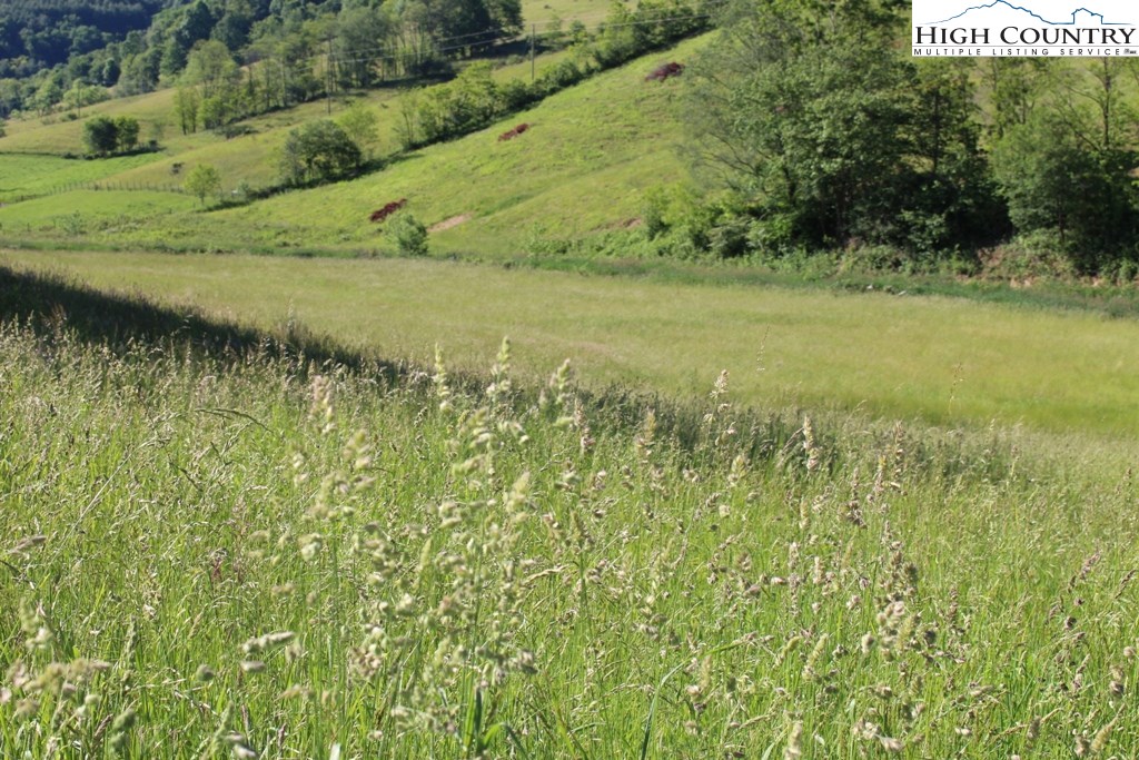 640 Joe Weaver Road Lansing, NC 28643 - Photo 3 of 15 a view of a field of grass and trees