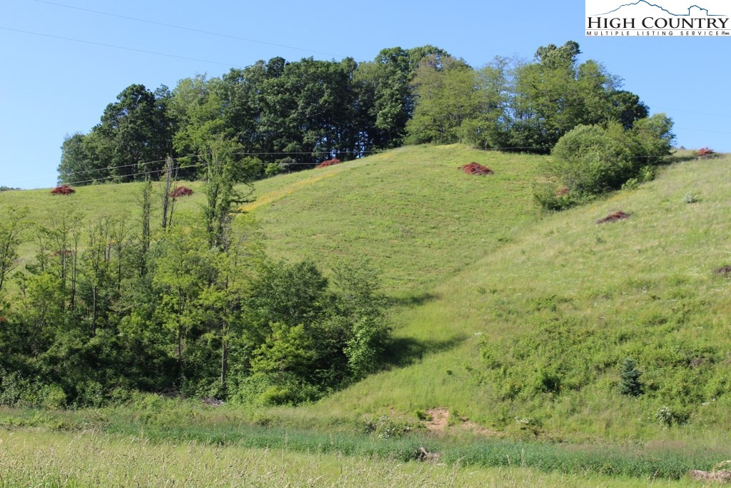 640 Joe Weaver Road Lansing, NC 28643 - Photo 5 of 15 a view of a big yard with lots of green space