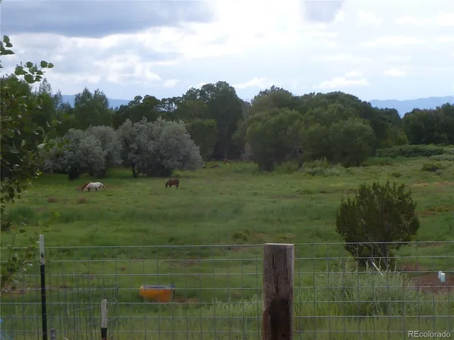 a view of a lush green outdoor space with a lake view