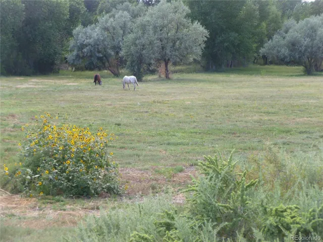 a view of a field