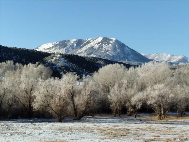 a view of a garden with an outdoor seating