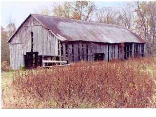 Primary Photo