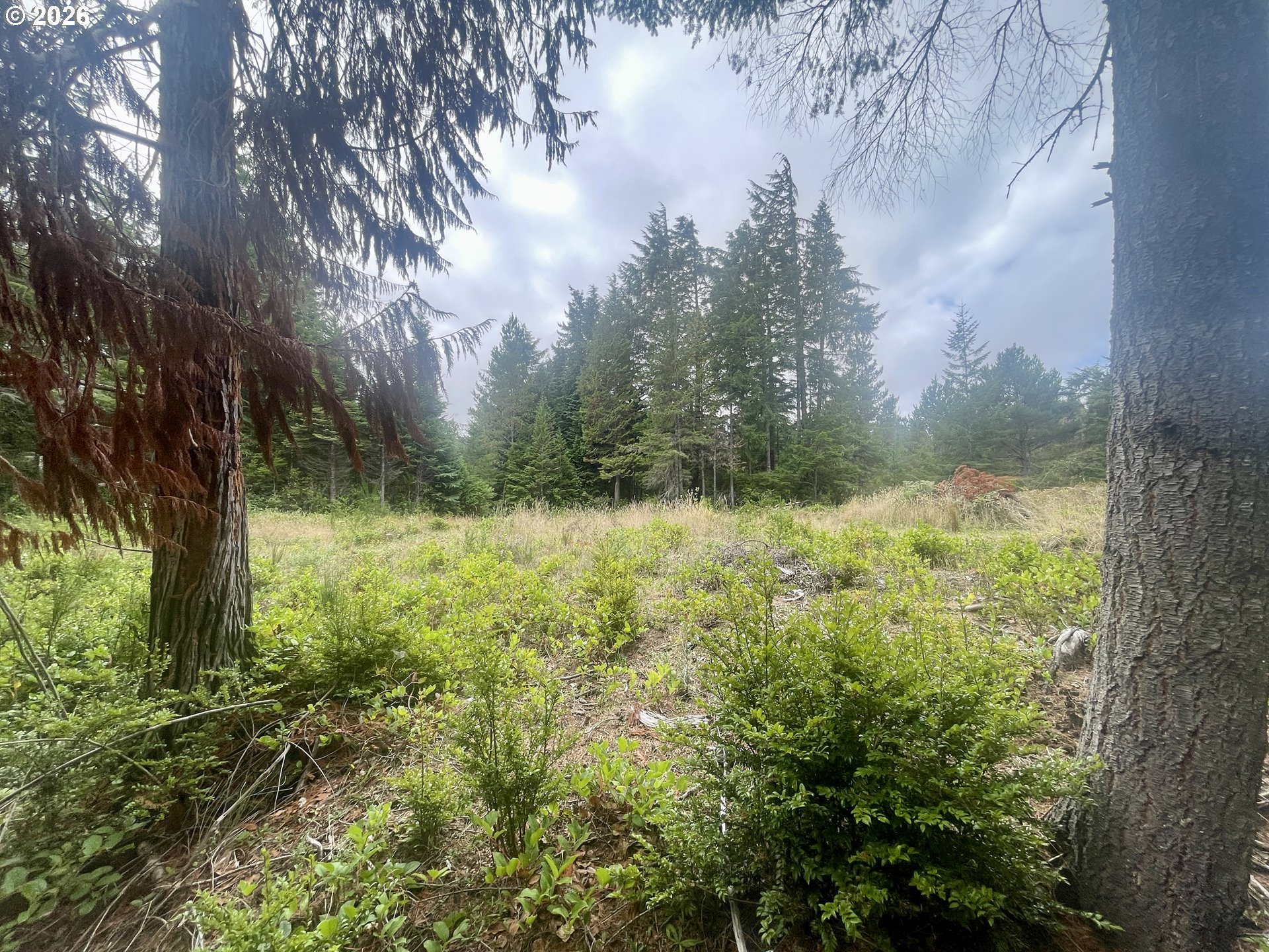 Sandpoint Road North Bend, OR 97459 - Photo 24 of 29 Gallery Image 24
