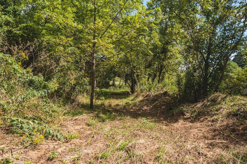 Tbd Tbd Laurel Mill Ridge Road Riner, VA 24149 - Photo 4 of 13 Gallery Image 4