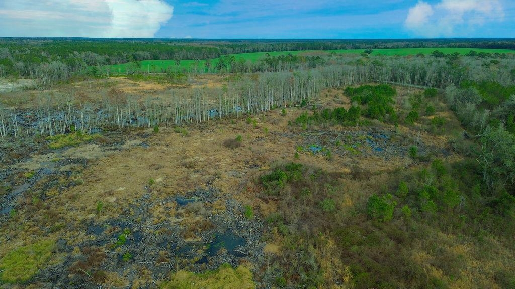 0 Big Joe Road Monticello, FL 32344 - Photo 2 of 4