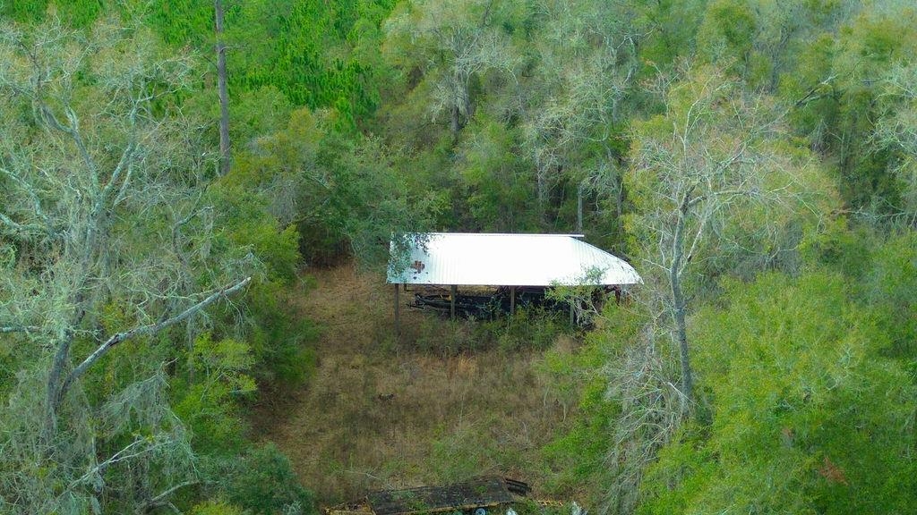 0 Big Joe Road Monticello, FL 32344 - Photo 3 of 4