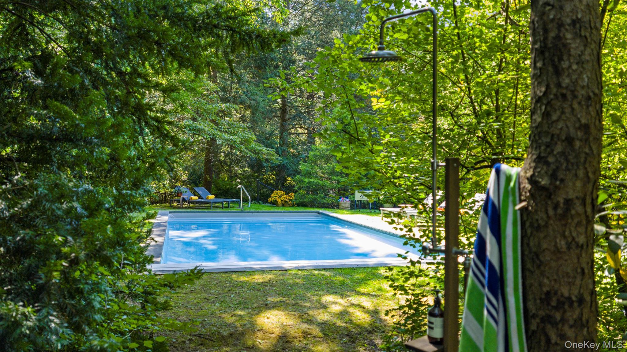 20 Lewis Road Irvington, NY 10533 - Photo 5 of 33 Relax poolside with discreet outdoor shower.
