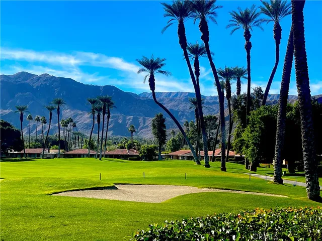 a view of a park with lots of palm trees
